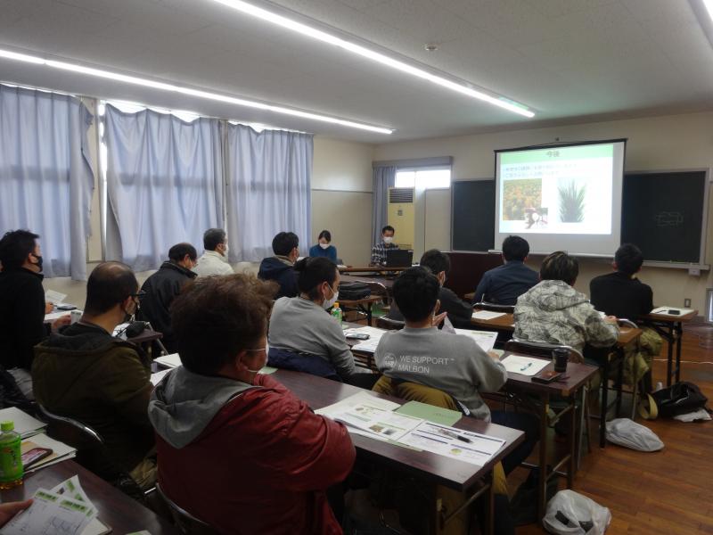 若松の均一化栽培に係る成果の紹介