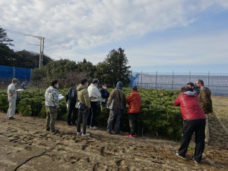 若松栽培試験ほ場の見学・意見交換