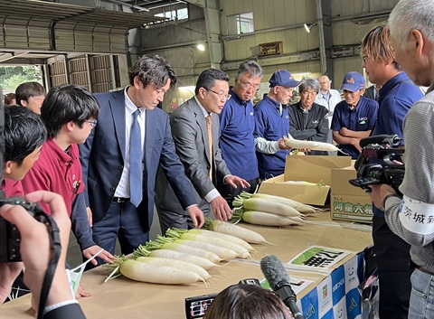 r8harudaikonmezoroe1