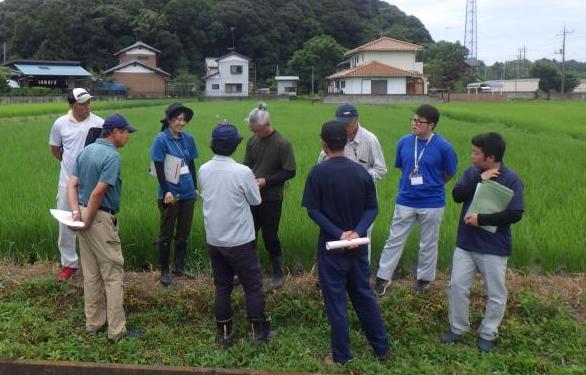 令和6年度稲敷地域リアルタイム情報／茨城県