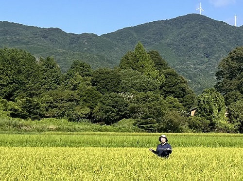 ほ場審査20251