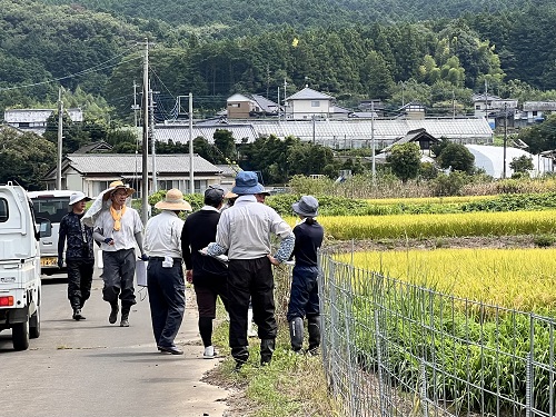 ほ場審査20252