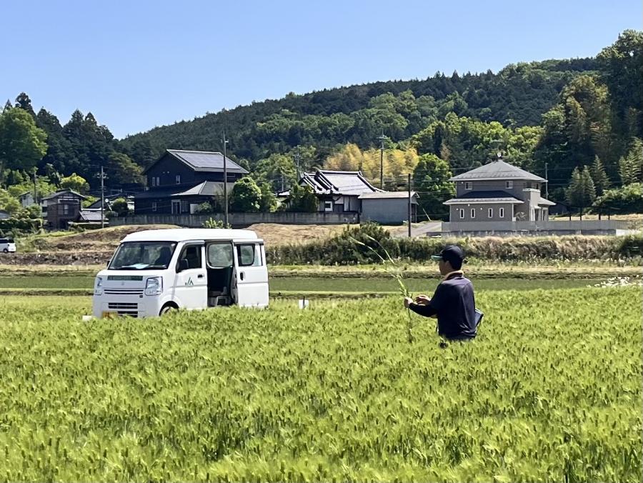 圃場審査風景R7
