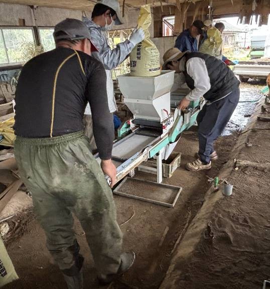 有機水稲播種20260410_1