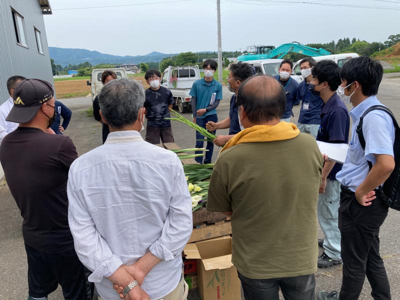 グラジオラス出荷目揃え会の様子