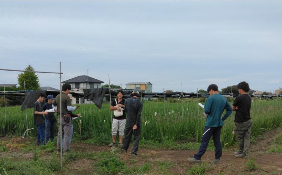 ぷらぷらプランツ研修