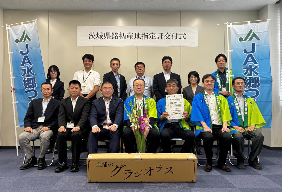 R8銘柄産地土浦市グラジオラス