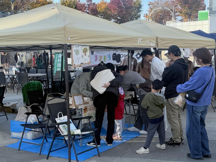 251115つくば木フェス1