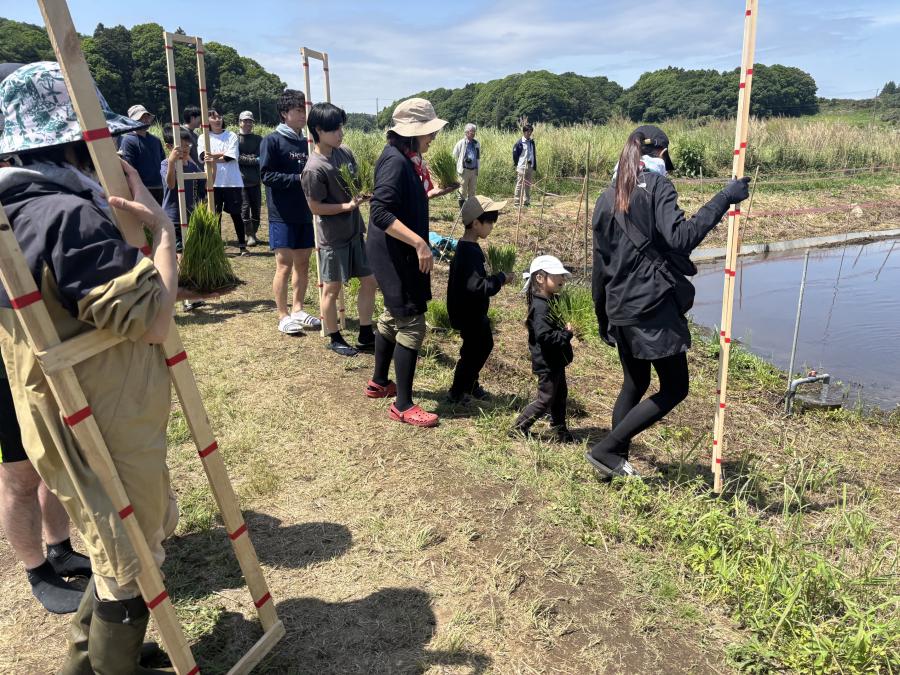 田植え1