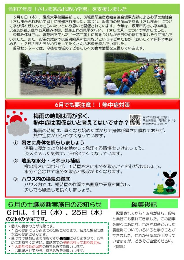 うら