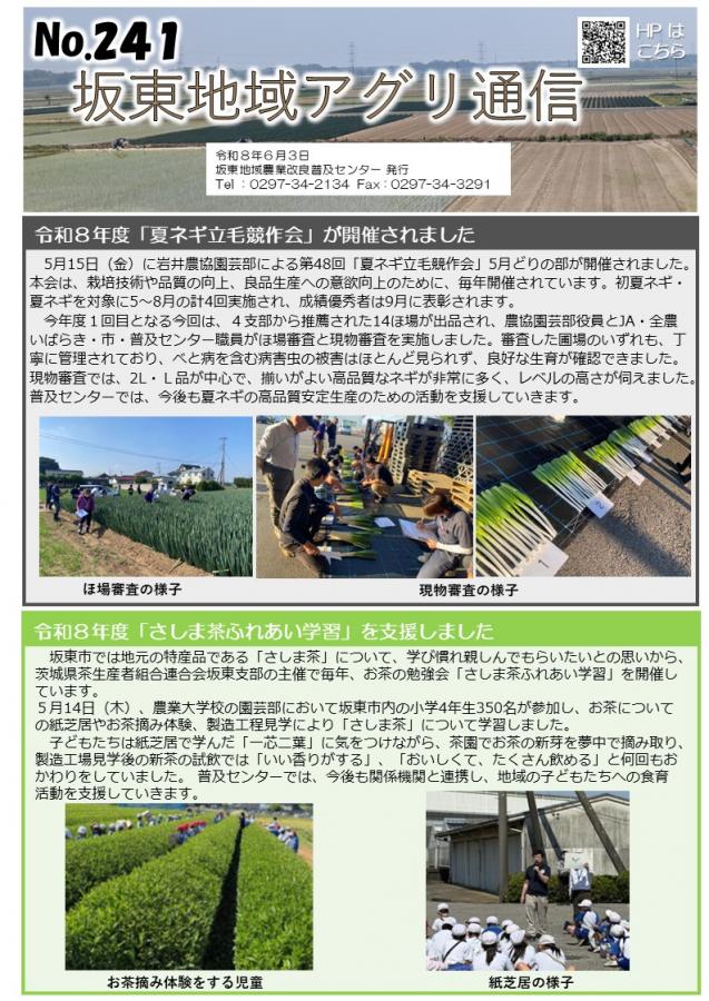 No.241おもて