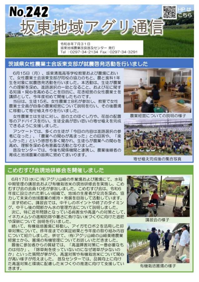 No.242おもて