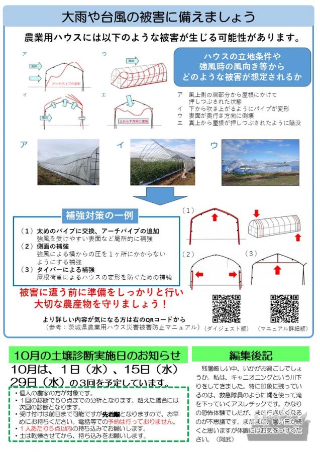 うら