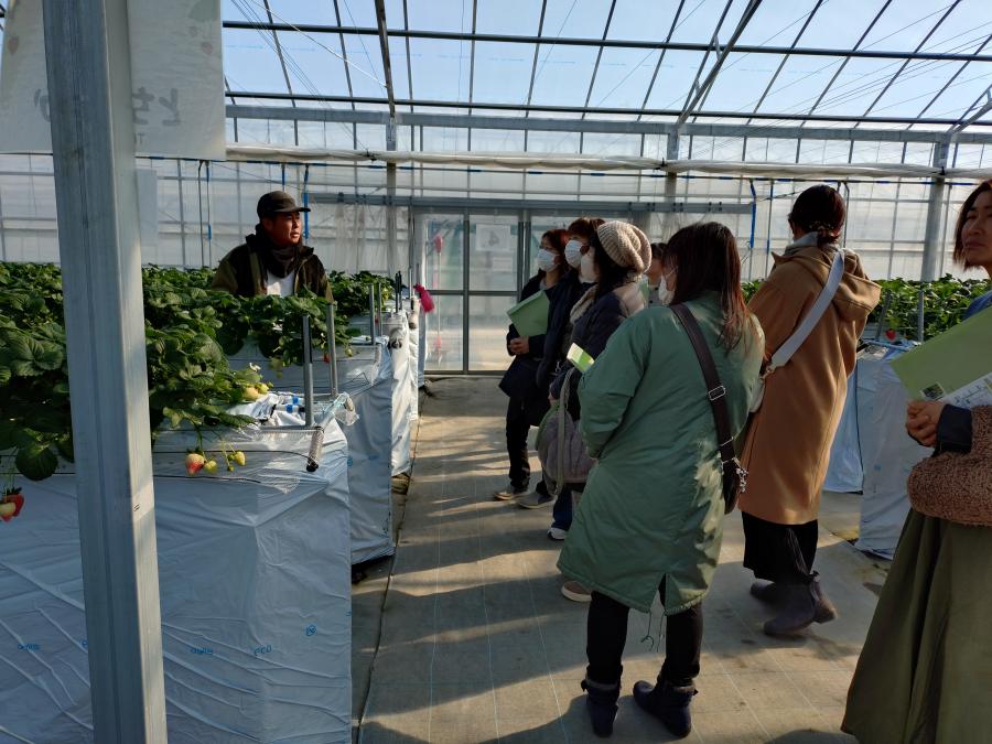 080113いちごの視察研修1