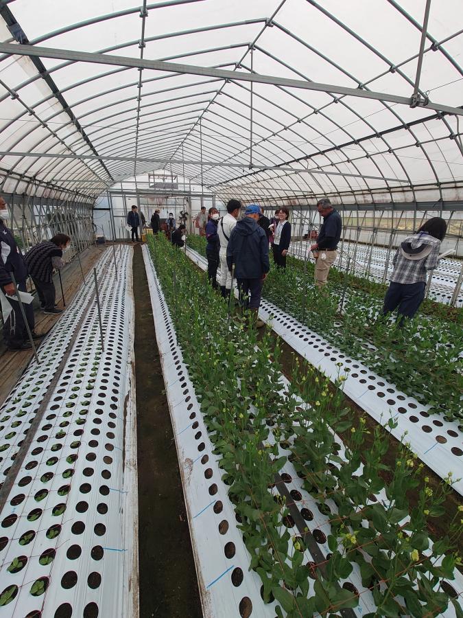 20251016切花部現地検討会