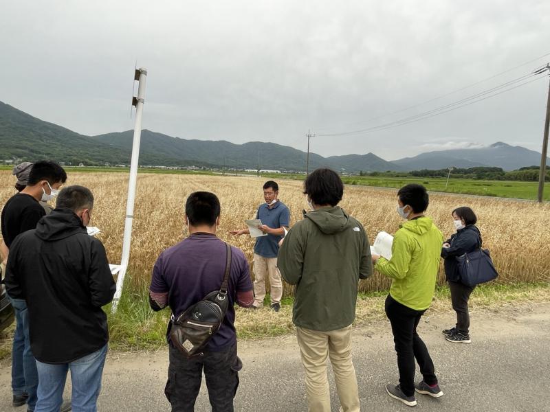 桜川市農業後継者クラブ 大地のめぐみ が圃場巡回を行いました 茨城県