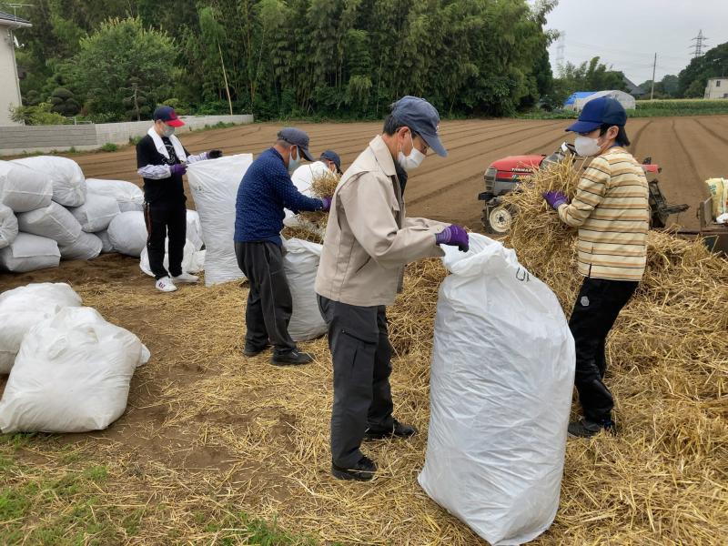 農福連携の農作業体験の様子