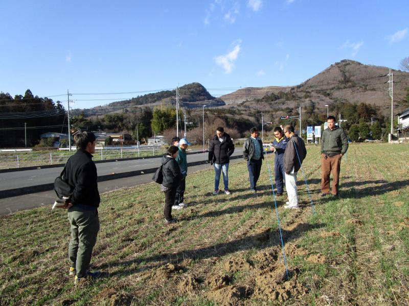 麦ほ場見学の様子