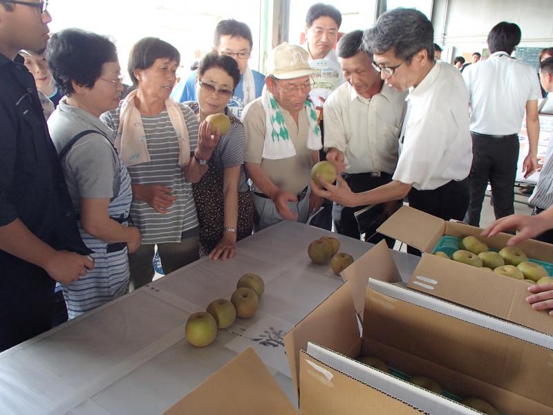 色味を確認し合う生産者と市場関係者