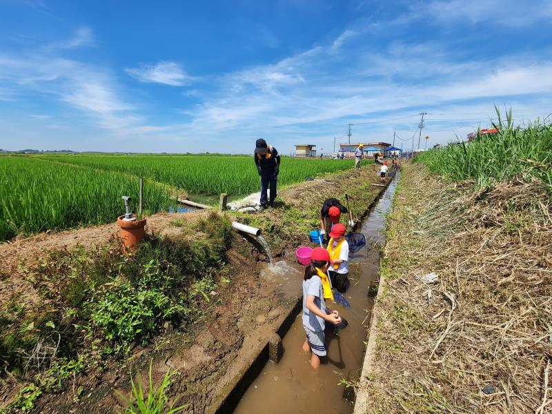 生き物調査