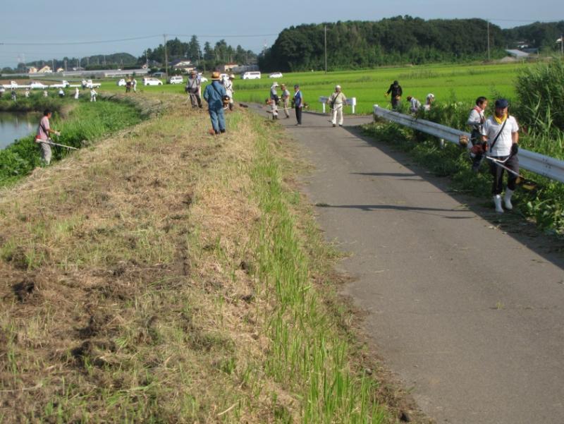 森戸南部地区（境町）