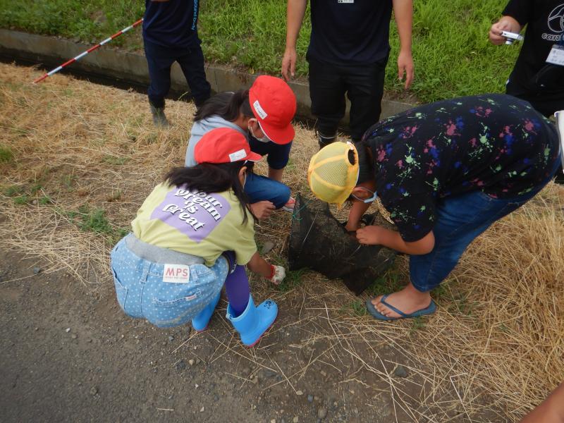 生き物調査箱網