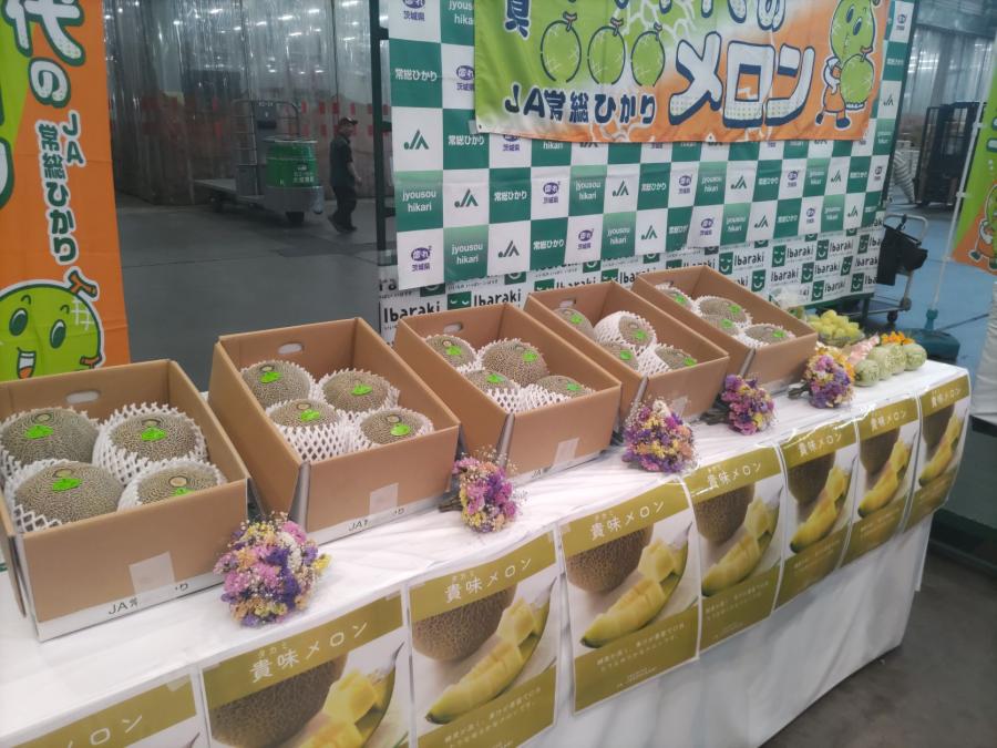 タカミメロン3