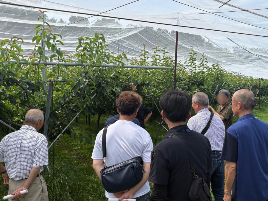 結城果樹部会研修会