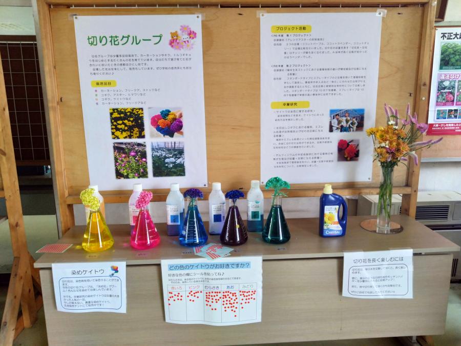 農大祭岩井キャンパス展示