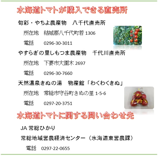 トマトが購入できる直売所、旬彩やちよ農産物八千代直売所など。トマトに関するお問い合わせ、常総地域営農経済センター水海道東営農課