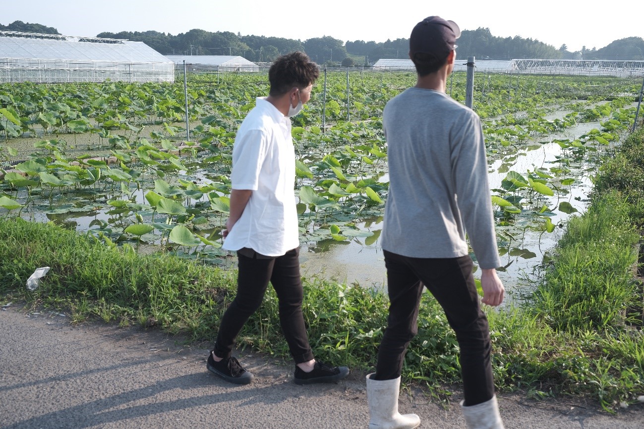 写真1：試験圃の管理状況を確認する石橋会長と坂副会長