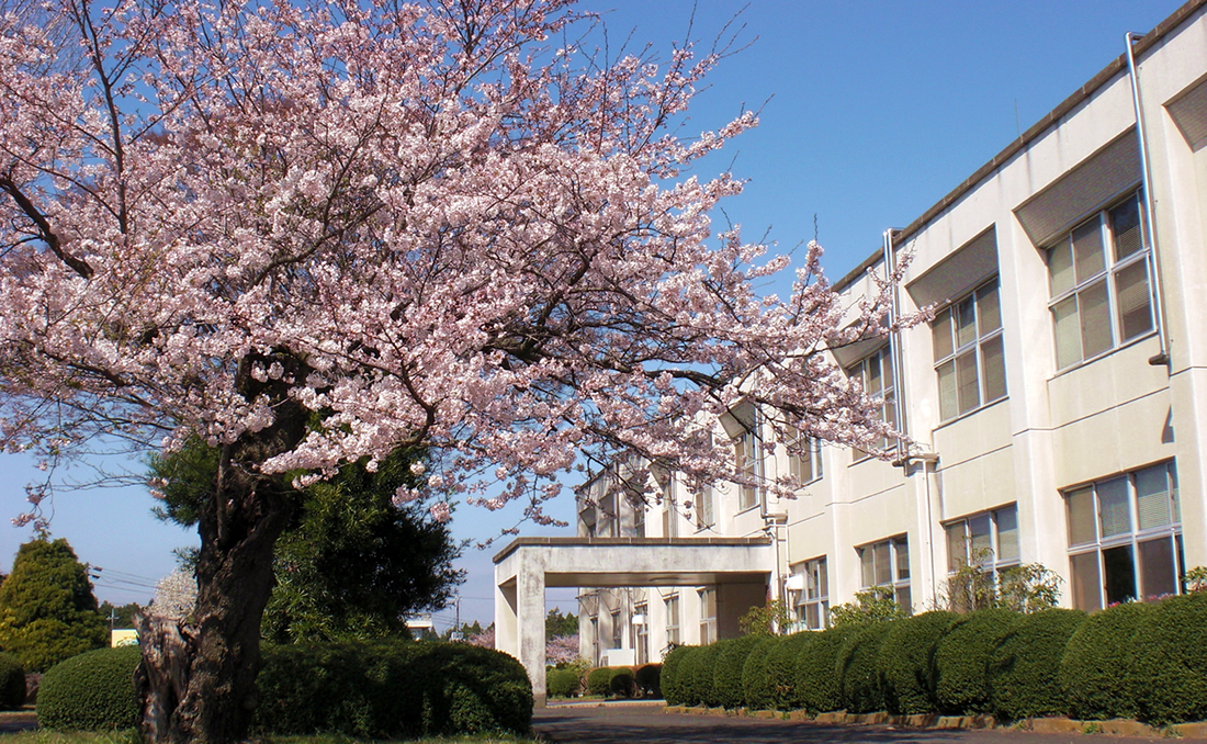 農業大学校外観の写真