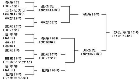 図3:ひたち錦の系譜