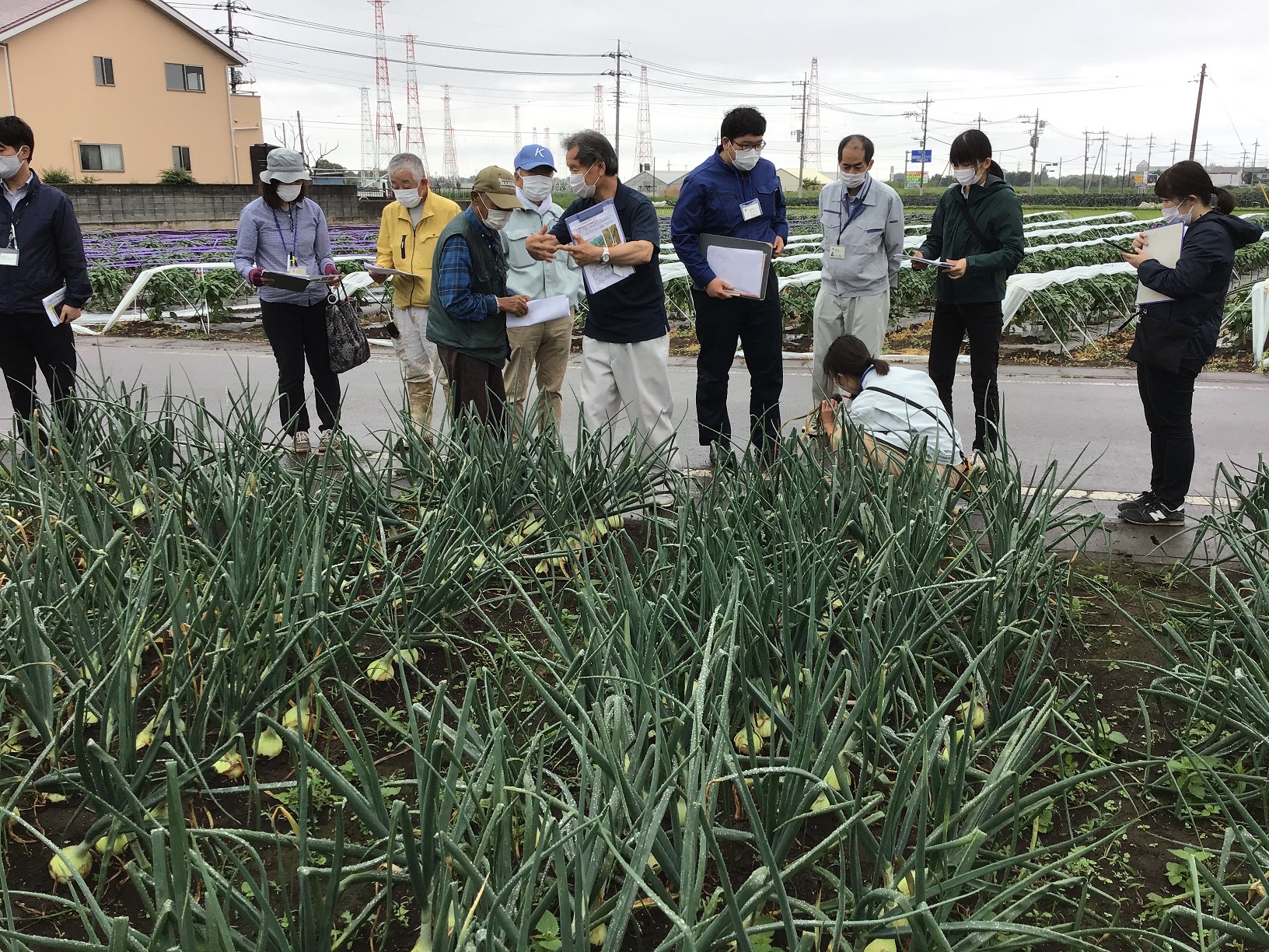 写真2：月１回の現地検討会で生育状況を確認します