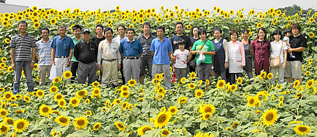 写真：四季菜くらぶ会員の集合写真。ひまわり畑で横一列に並んでいます。