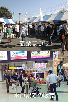 写真：水戸駅内で「笠間の栗」を販売してＰＲ活動するようす　