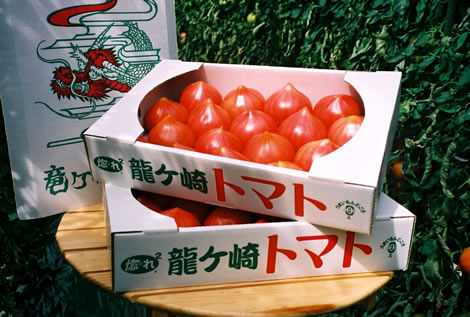 写真：箱詰めされた龍ケ崎トマト