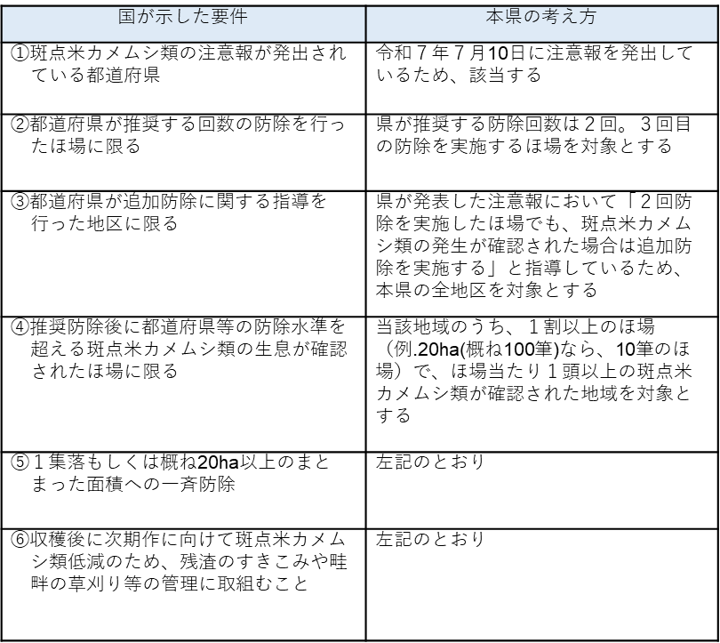 図6