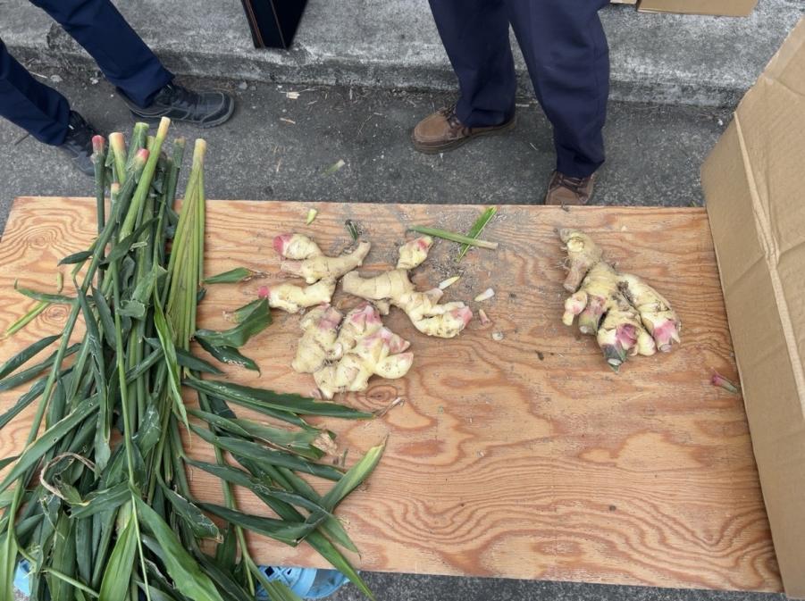 20251014keiyakusyougamezoroekai1