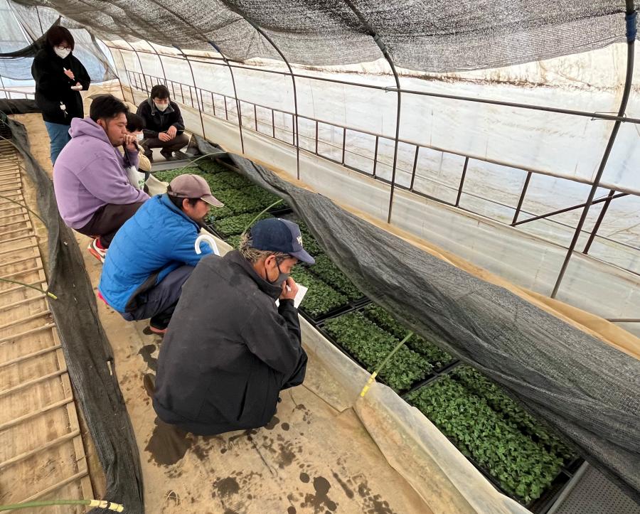 260401kogikusaibaikousyuukai