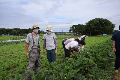 大久保氏ほ場