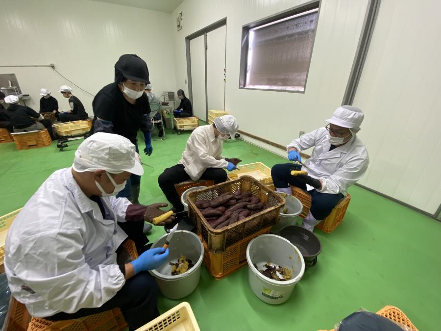 実習の様子
