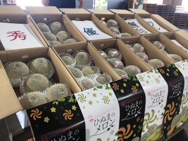 メロンの荷姿