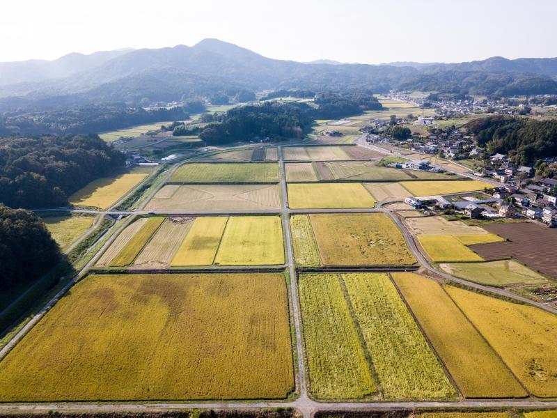 箱田中央地区の写真