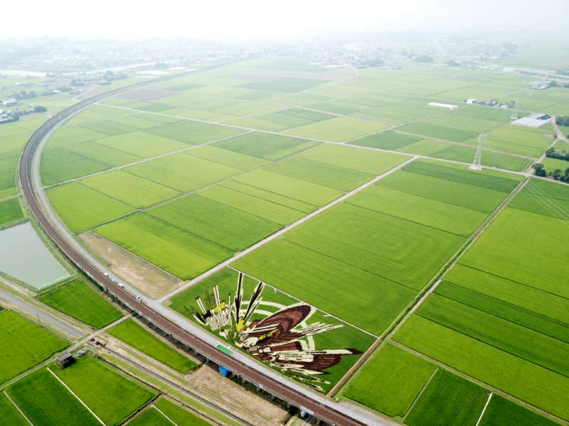 川又平戸地区の写真