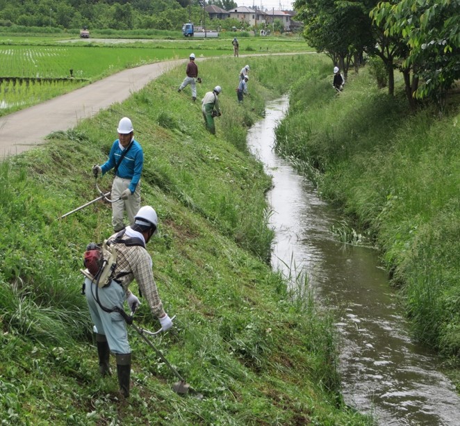 写真1水路脇法面の草刈りの様子