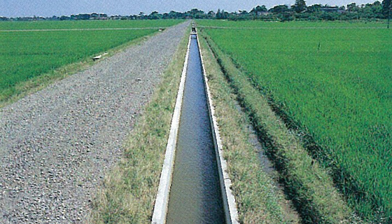 農業用用排水路