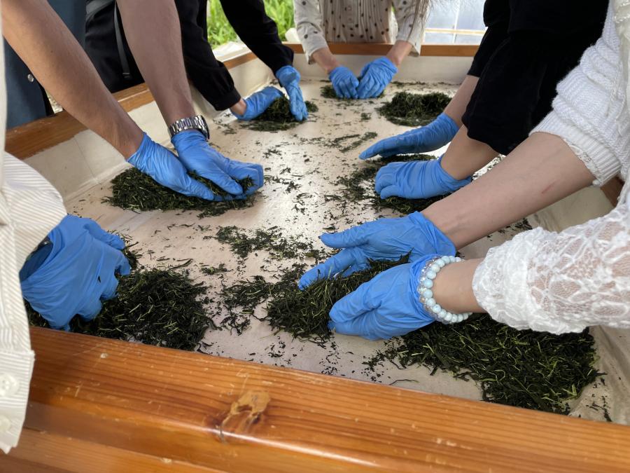 茶もみ体験