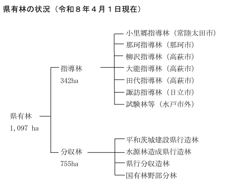 県有林の状況(令和8年4月1日)