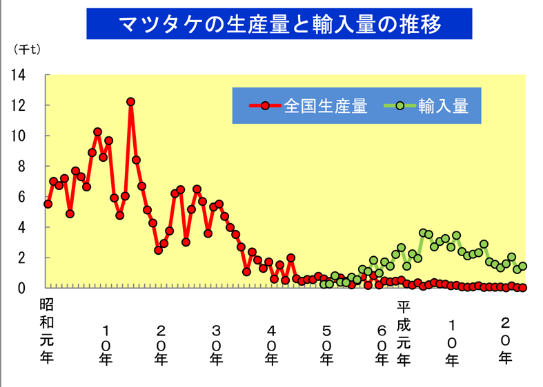 マツタケ生産量のグラフ